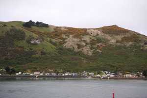 HARINGTON-POINT-DUNEDIN (24)